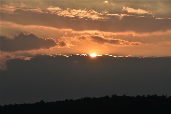 DSC_0868